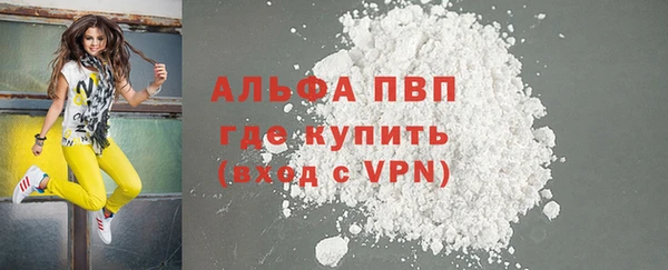 молекула духа Костерёво