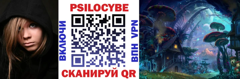 Псилоцибиновые грибы Psilocybe Минеральные Воды
