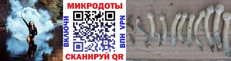 Псилоцибиновые грибы Magic Shrooms  Купить закладки  Минеральные Воды 