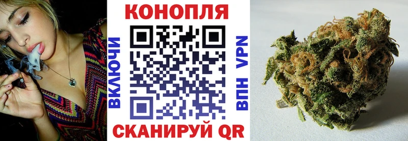 Бошки марихуана OG Kush  Купить закладки  Минеральные Воды 